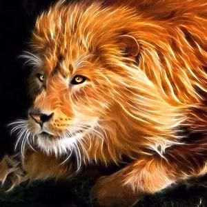 Meet your Posher, Ray